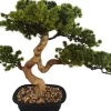 Drzewko Bonsai Florino 135