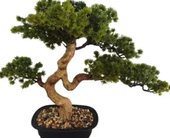 Drzewko Bonsai Florino 135