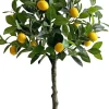 Drzewko cytrynowe Lemoni 158