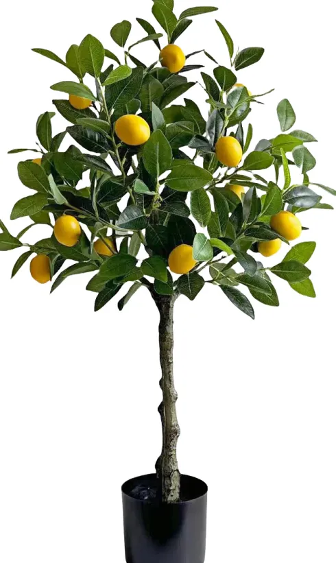 Drzewko cytrynowe Lemoni 158