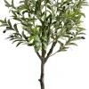 Drzewko oliwne Florino 129