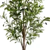 Drzewko oliwne Florino 130