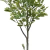 Drzewko oliwne w doniczce Florino 116