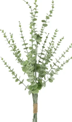 Gałązka eukaliptusa Florino 132