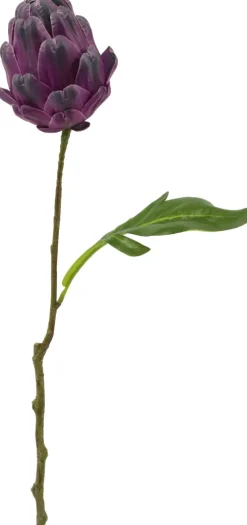 Gałązka karczoch Florino 134