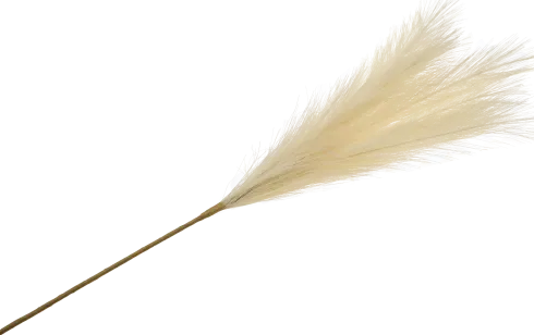Gałązka trawy pampasowej Florino 159 (beżowy)