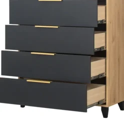 Komoda z 4 szufladami Floryda (grafit/dąb Soma ciemny)