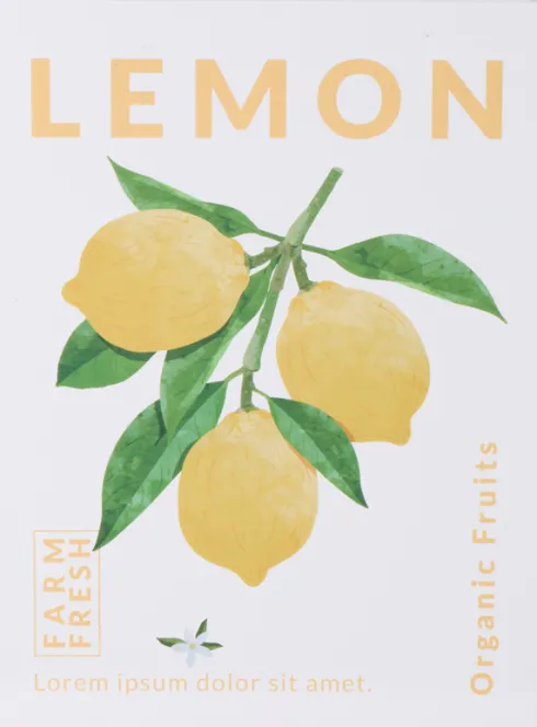 Książka dekoracyjna Lemoni Books 5 Lemon