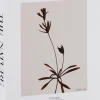 Książka dekoracyjna Nature Books 8 The Nature
