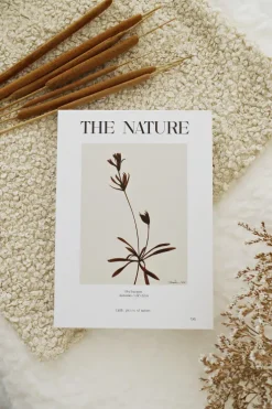 Książka dekoracyjna Nature Books 8 The Nature