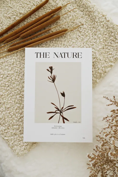 Książka dekoracyjna Nature Books 8 The Nature