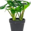 Monstera Florino 91