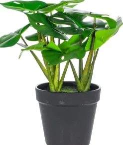 Monstera Florino 91