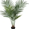 Palma Florino 136 (135 cm)