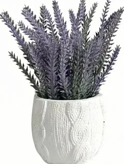 Roślina Florino 112