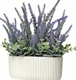 Roślina Florino 111