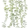Roślina Florino 138