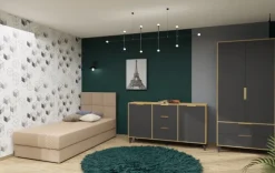 Szafa dwudrzwiowa z szufladami Floryda (grafit/dąb Soma ciemny)