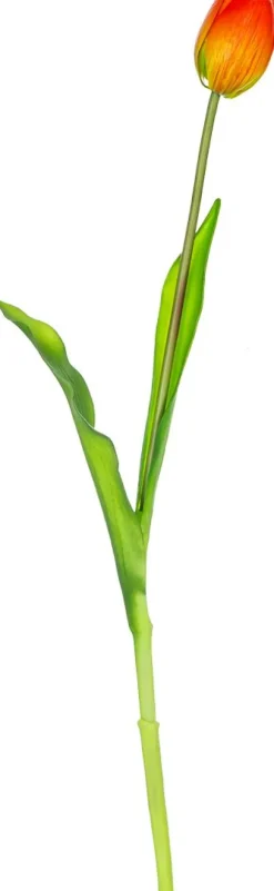 Tulipan Florino 92 (czerwony)