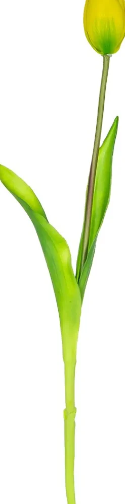 Tulipan Florino 92 (żółty)