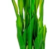 Tulipany Florino 95 (12szt)