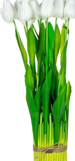 Tulipany Florino 95 (12szt)