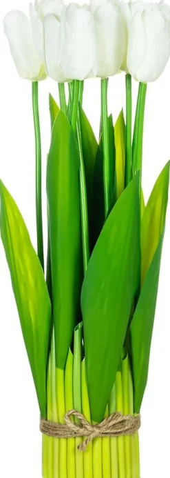 Tulipany Florino 96 (12szt.)